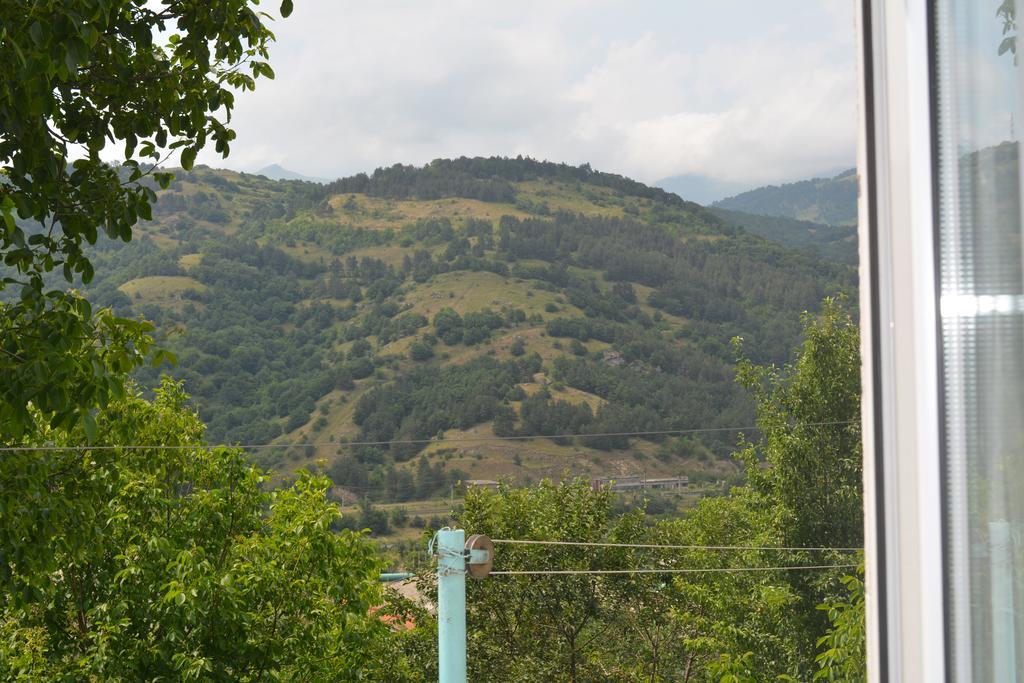 Sunny Sweet Home Dilijan Exterior foto