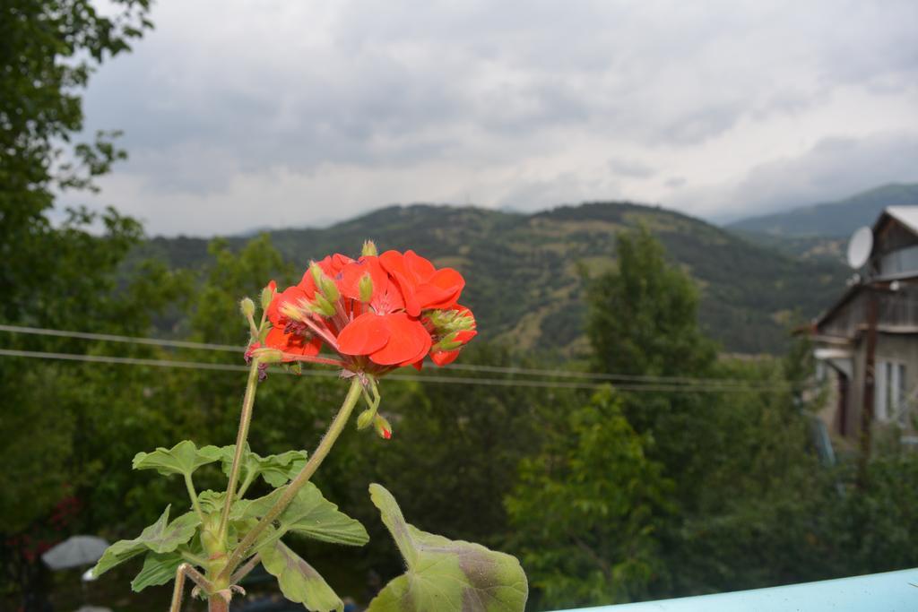 Sunny Sweet Home Dilijan Exterior foto